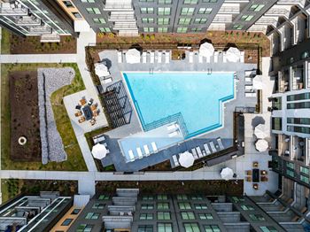 Resort-style saltwater swimming pool with tanning deck